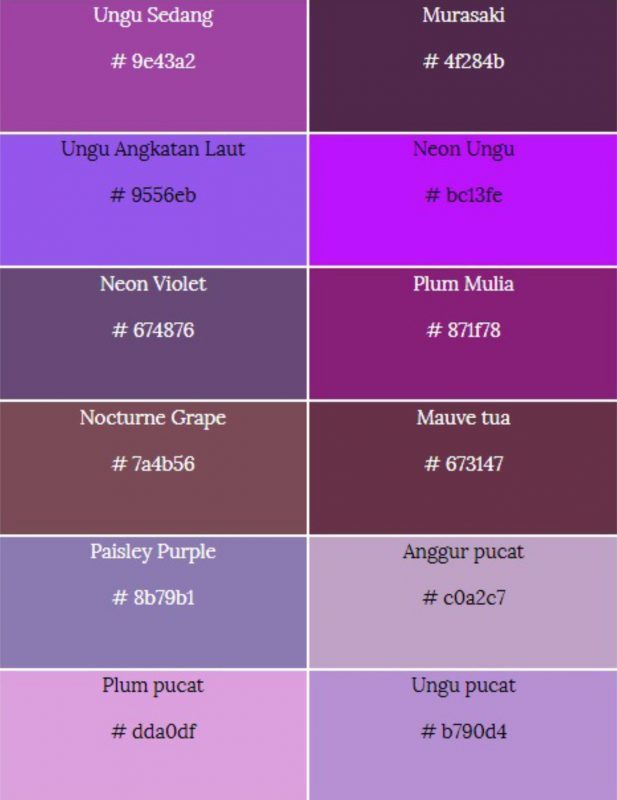 macam-macam warna ungu dan kode warna Ungu