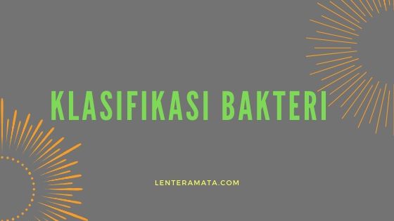 klasifikasi bakteri