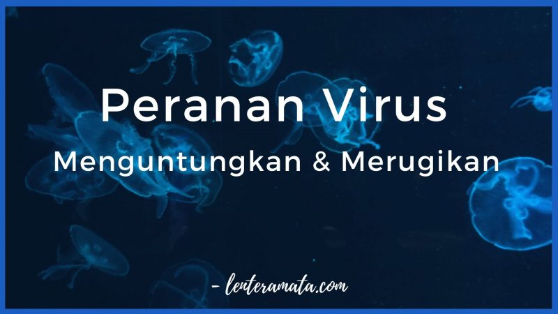 peranan virus