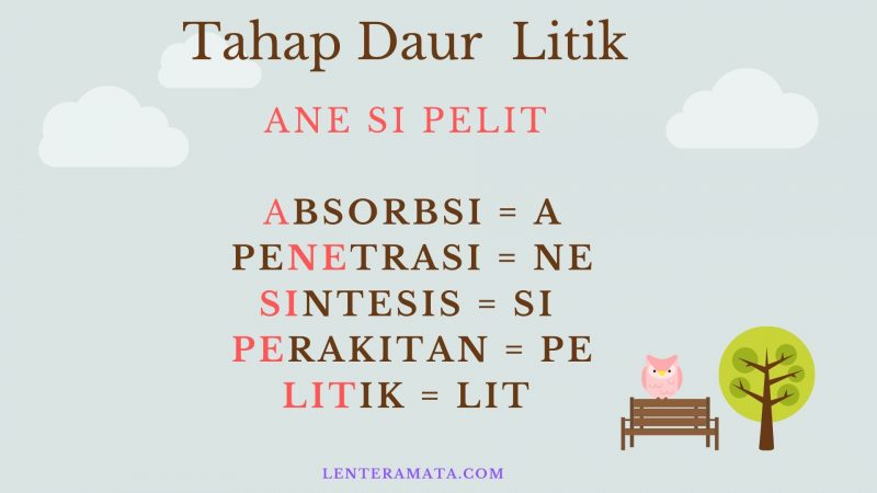 pengertian virus, ciri ciri virus, peranan virus, klasifikasi virus, cara reproduksi virus, penyakit pada sistem reproduksi yang disebaban virus adalah, virus adalah, tahapan reproduksi virus, gambar reproduksi virus, siklusi litik, siklus lisogenik, jenis virus, macam macam virus, karakteristik virus, bentuk virus, cara mendeteksi virus, siklus reproduksi virus