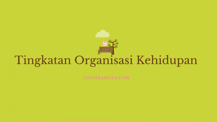 tingkat organisasi kehidupan