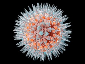 pengertian virus, ciri ciri virus, peranan virus, klasifikasi virus, cara reproduksi virus, penyakit pada sistem reproduksi yang disebaban virus adalah, virus adalah, tahapan reproduksi virus, gambar reproduksi virus, siklusi litik, siklus lisogenik, jenis virus, macam macam virus, karakteristik virus, bentuk virus, cara mendeteksi virus, siklus reproduksi virus