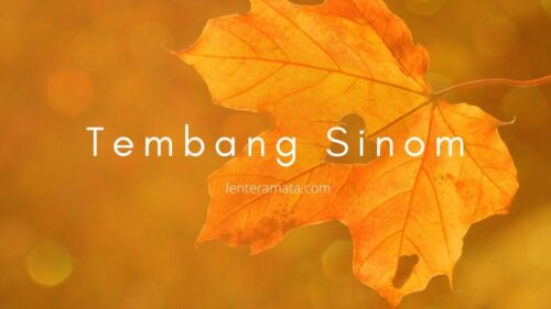 pengertian tembang sinom, pengertian tembang macapat, tembang kinanthi, watak tembang sinom, makna tembang sinom, aturan tembang sinom, paugeran tembang sinom, contoh tembang sinom buatan sendiri, kumpulan tembang sinom, contoh tembang sinom tema lingkungan, tembang sinom serat wedhatama, tembang sinom lan tegese bahasa jawa, tembang sinom diripta dening, watak tembang macapat dalam bahasa jawa, watak tembang pocung dalam bahasa jawa, watak tembang pangkur dalam bahasa jawa, tembang macapat yaiku