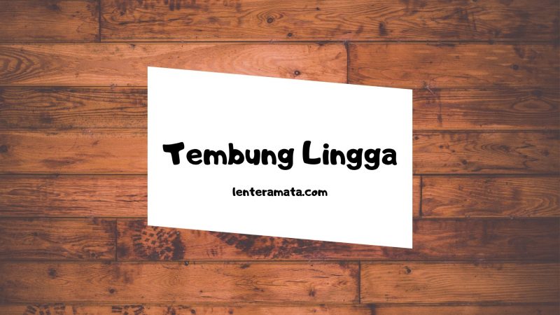 pengertian tembung lingga, contoh tembung lingga, tembung lingga yaiku, tembung wod, tembung lingga sawanda yaiku, tembung lingga rong wanda, tembung lingga telung wanda, tuladha tembung lingga, contoh ukara tembung lingga, contoh kalimat yang menggunakan tembung lingga, gambar tembung lingga