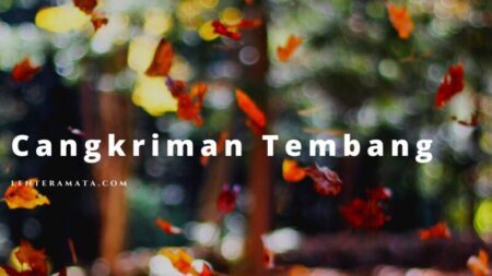 cangkriman tembang, contoh cangkriman tembang