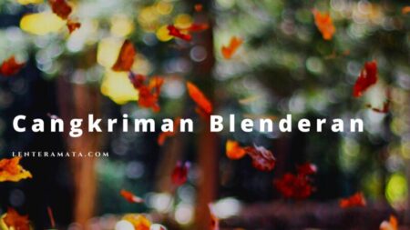 wancahab blenderan, contoh wancahan blenderan